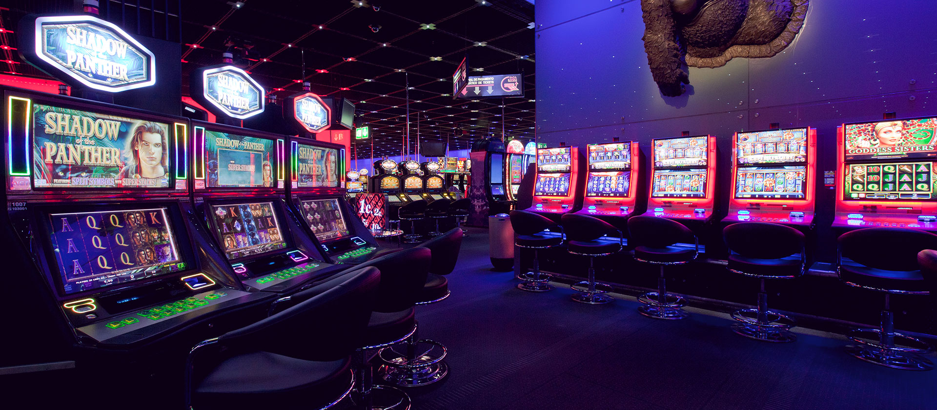 Casino Lisboa Dining Experience