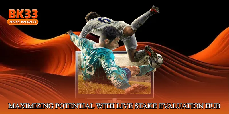 Maximizing Potential with Live Stake Evaluation Hub