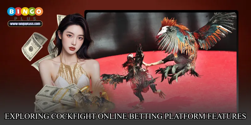 Exploring Cockfight online betting platform features