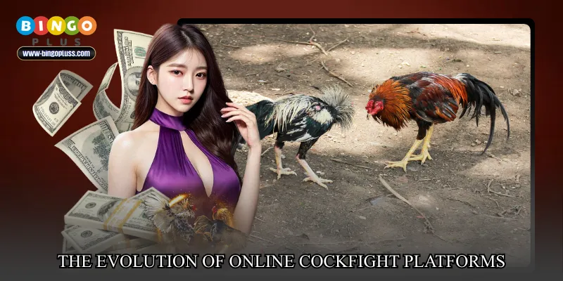 The evolution of online cockfight platforms
